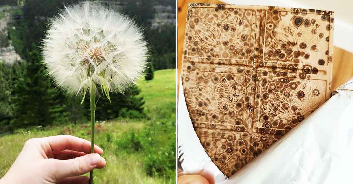 33 Fascinating Finds and Cool Things People Discovered