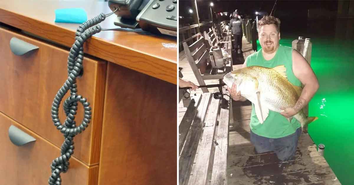 26 Pics You May Have to Look at Twice to Understand