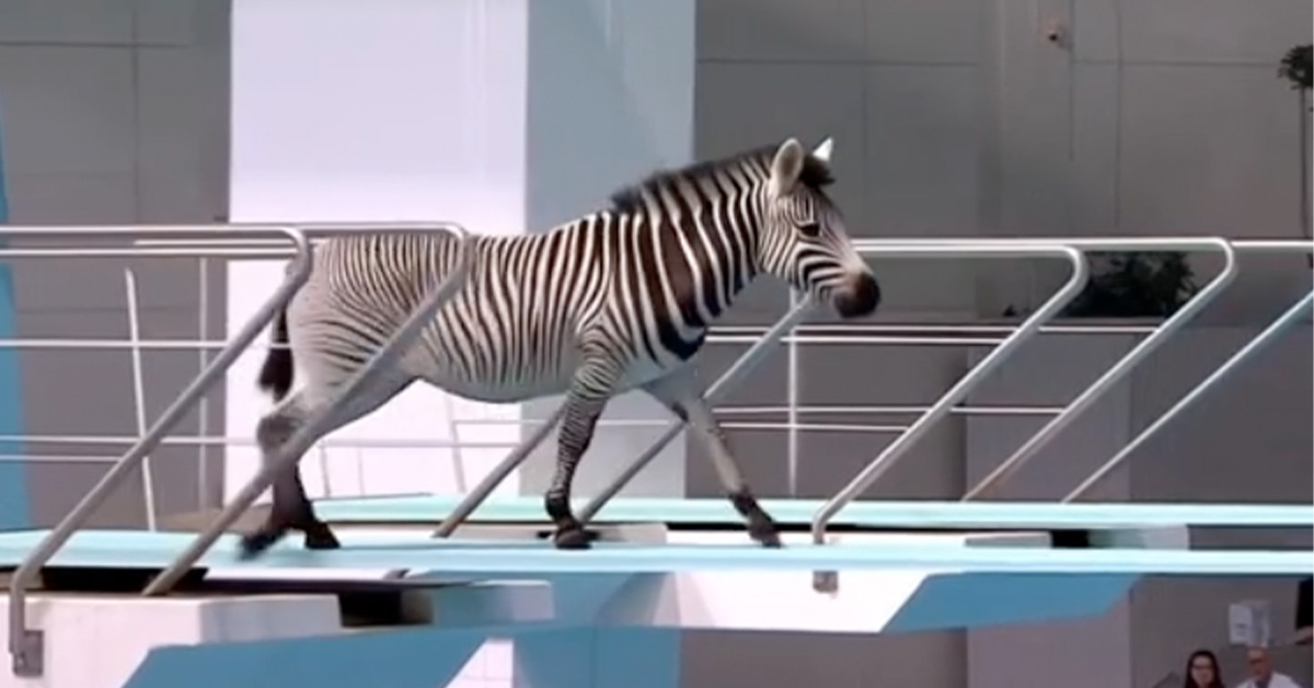 Animals Hitting Dives Is What A.I. Was Made For