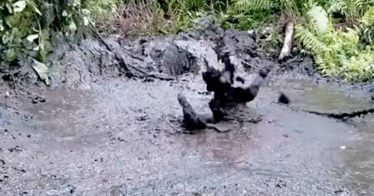 Bog Diving Is the Most British Activity of All Time 