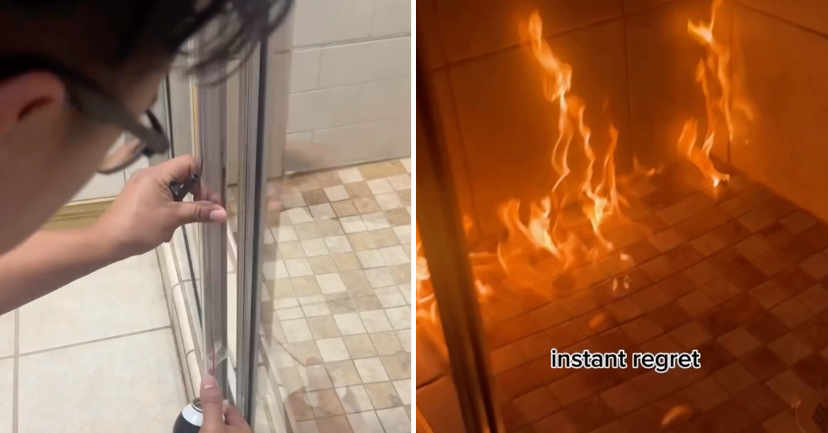 Roommates Trying to Kill Spider Accidentally Almost Burn Whole Building Down