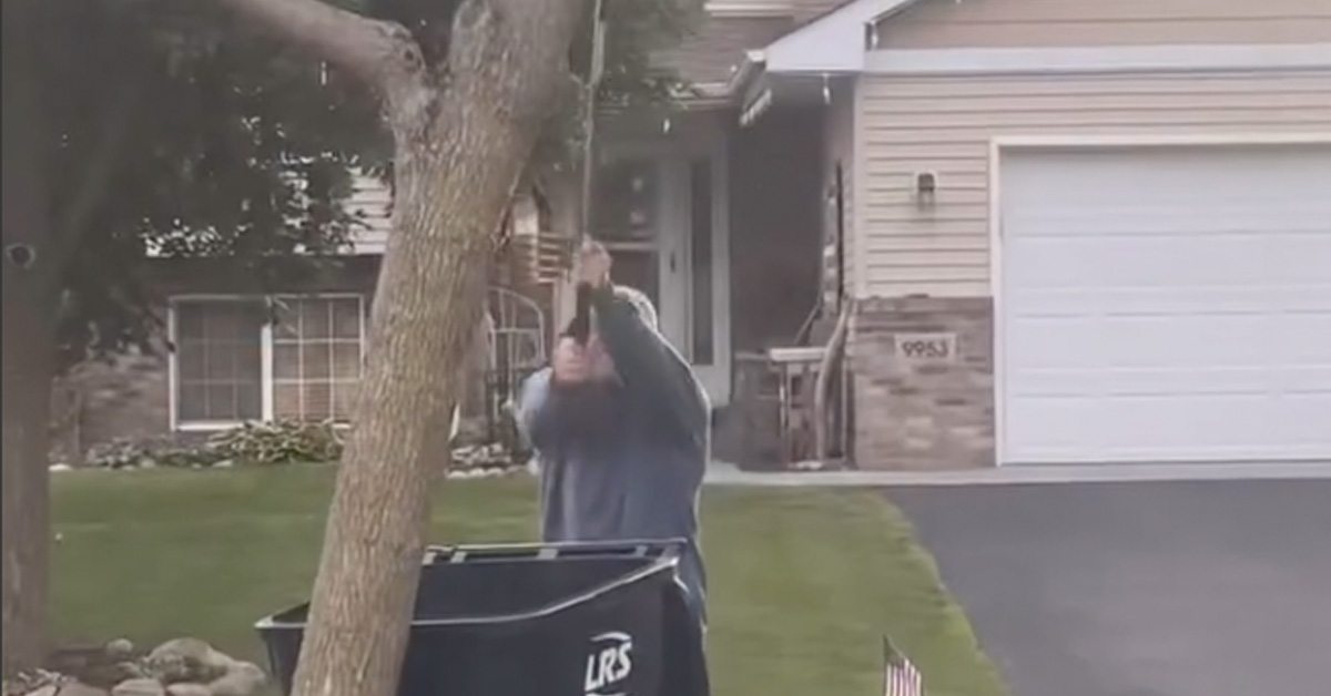 Man Masterfully Handles Wasp Nest