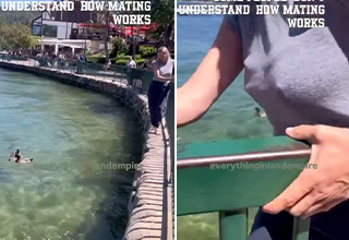 Angry Lady Tries to Stop Male Duck From Mating With Female Duck