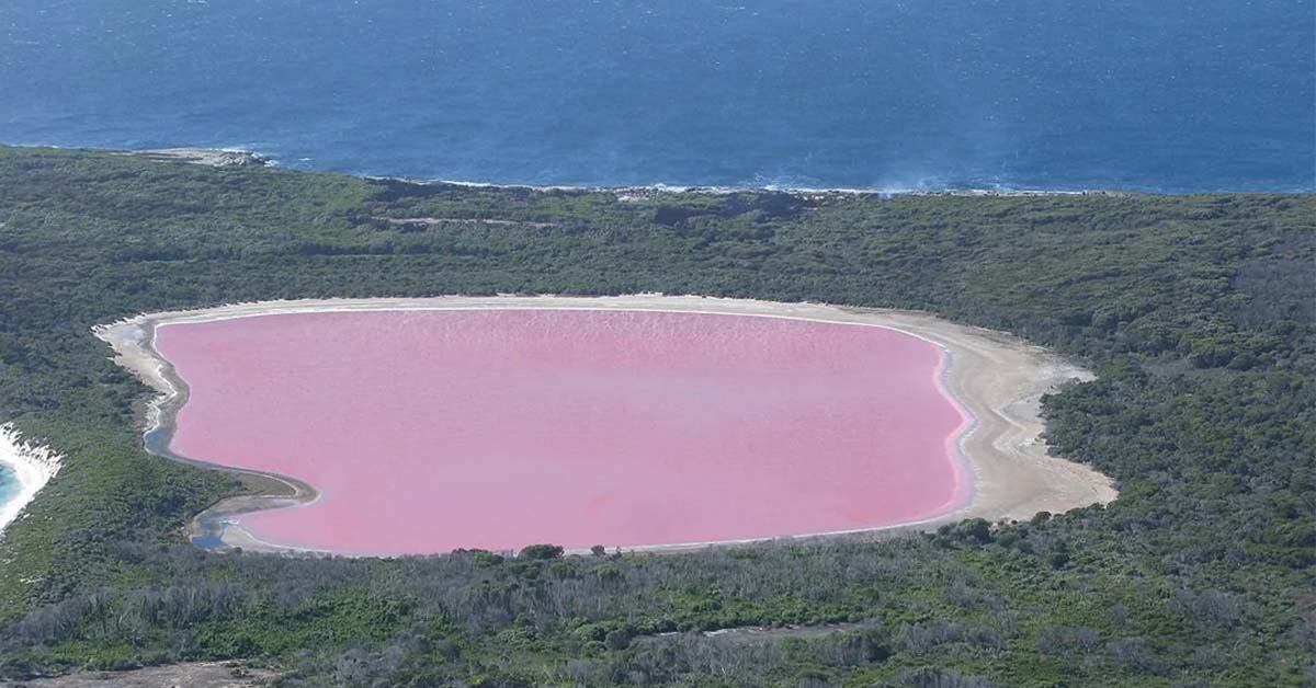 19 Amazing Facts We Thought You Should Know