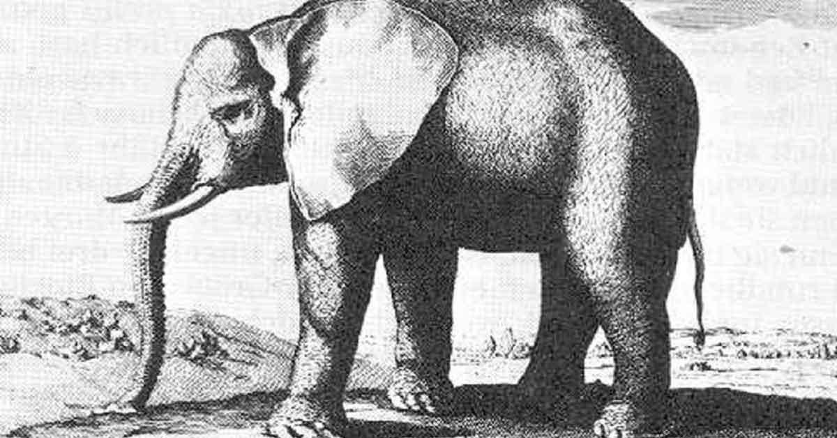 31 Fascinating Facts to Cram Inside Your Thinking Cap