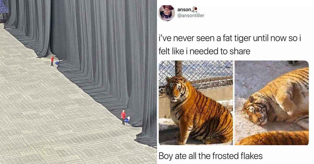 33 Extra-Large Versions of Normal Things, To Scale