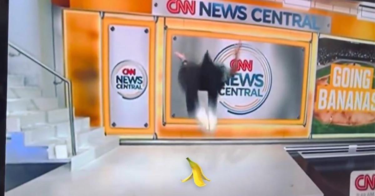 A Savannah Banana Did a Backflip on CNN and Landed Right on His Face