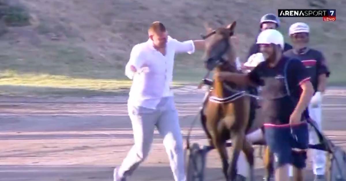 NBA MVP Nikola Jokic Clearly Loves Horses More Than Basketball
