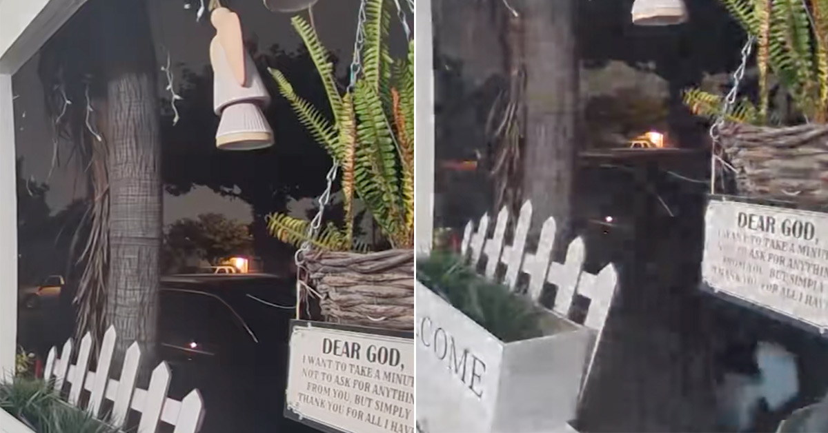 Small Blue Alien Spotted on Ring Camera in L.A.