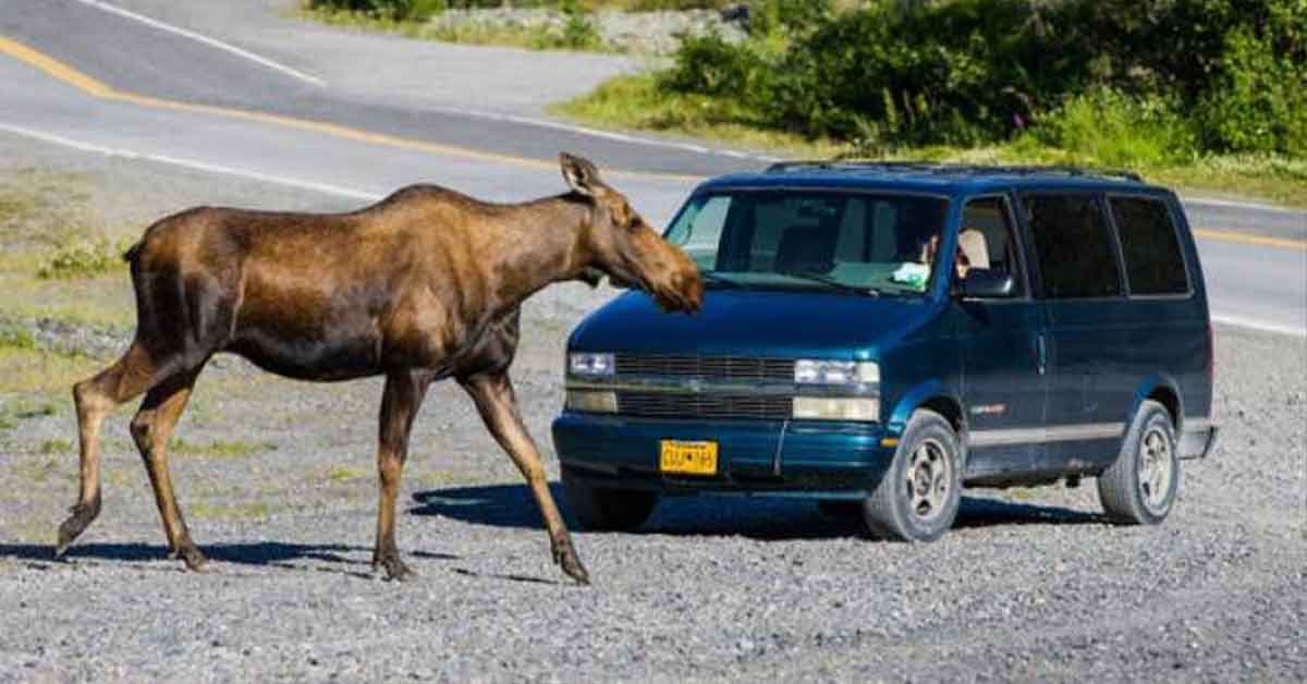 36 Fascinating Photos Worth Wasting Your Time to See