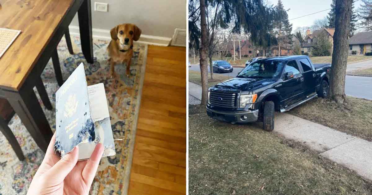 21 People On The Knife Edge of Their Patience