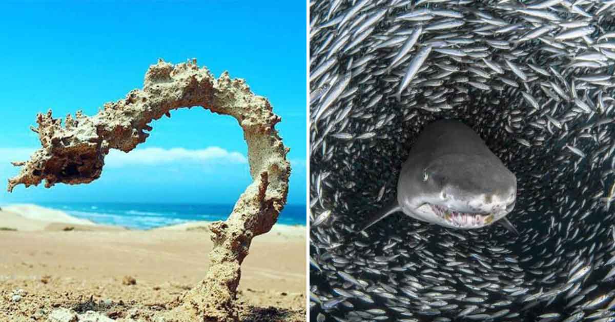 34 Cool Photos of Sights You Don't Often See