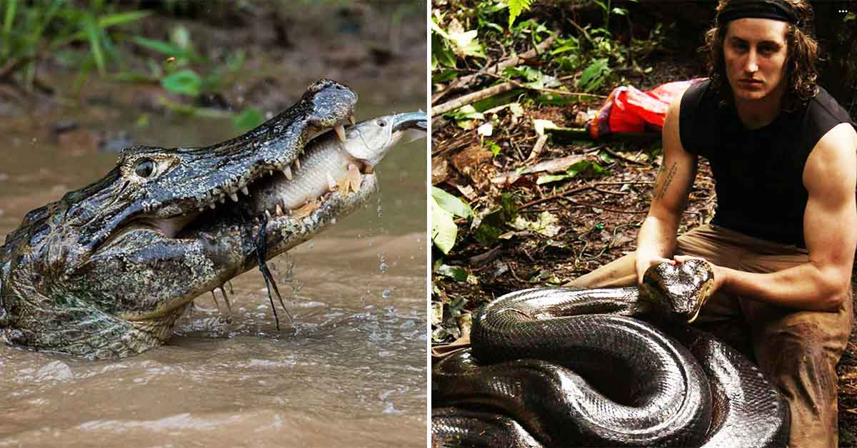 21 Photos Reminding You Why The Amazon Is So Deadly