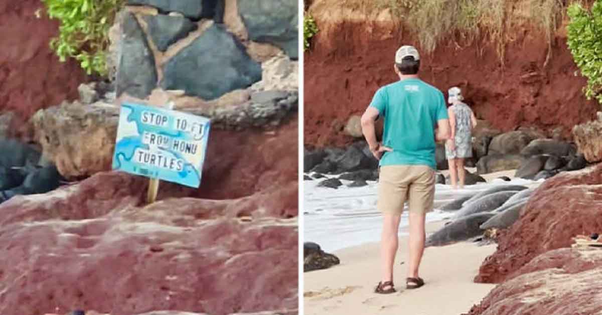 Disrespectfully Entitled Tourists Who Need Called Out