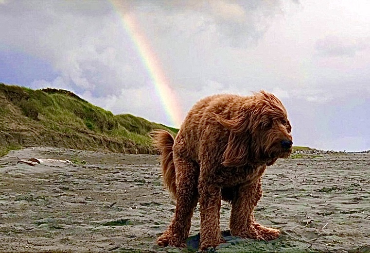 Rainbows That Showed Up In The Weirdest Places