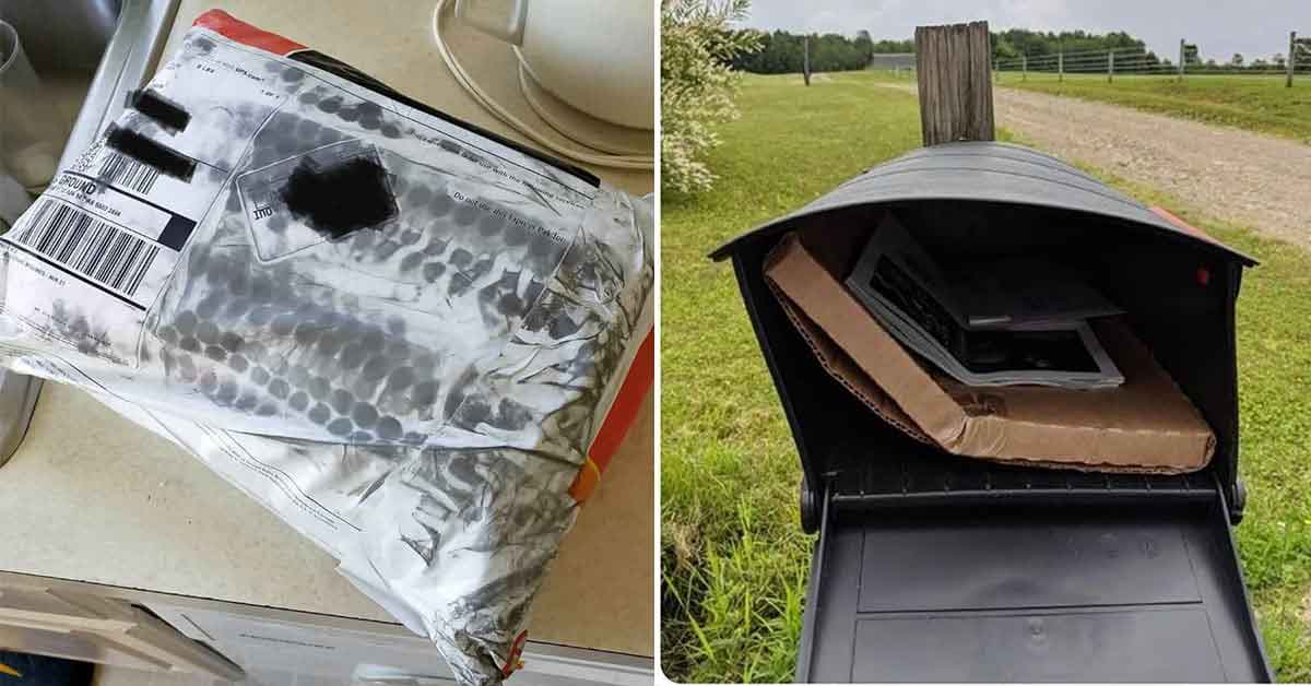 Package Deliveries That Got So Close, But So Far