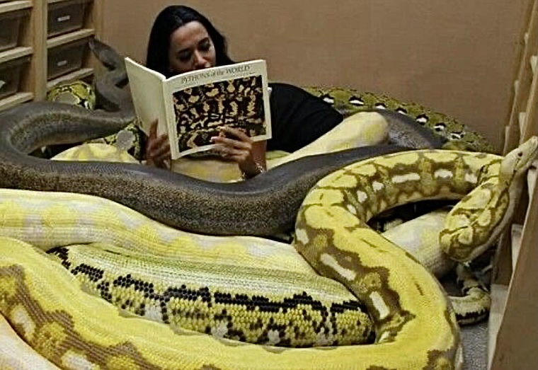 The Biggest Pets On Earth