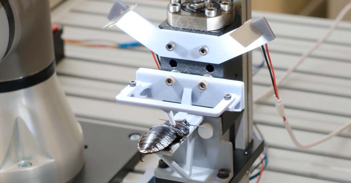 University Creates Machine to Pump Out Dozens of Cyborg Cockroaches