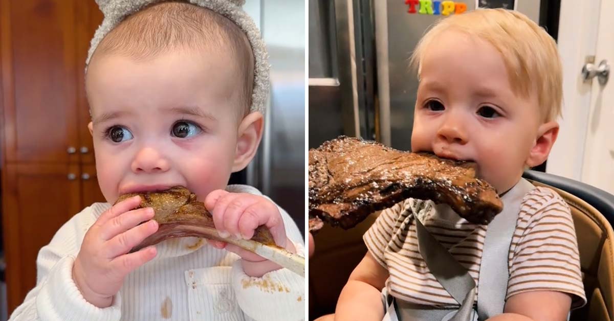 The New Trend in Parenting? ‘Carnivore Babies’