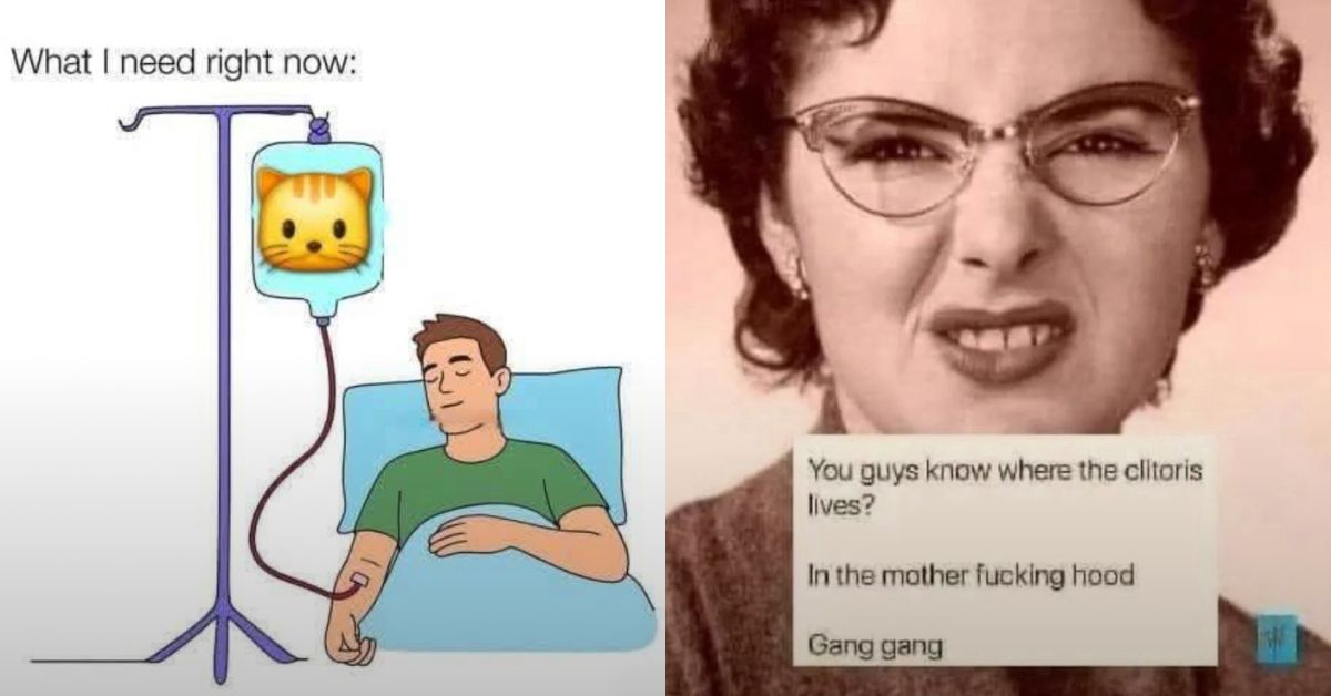 20 NSFW Kitty Memes That Are Serving Main Character Energy