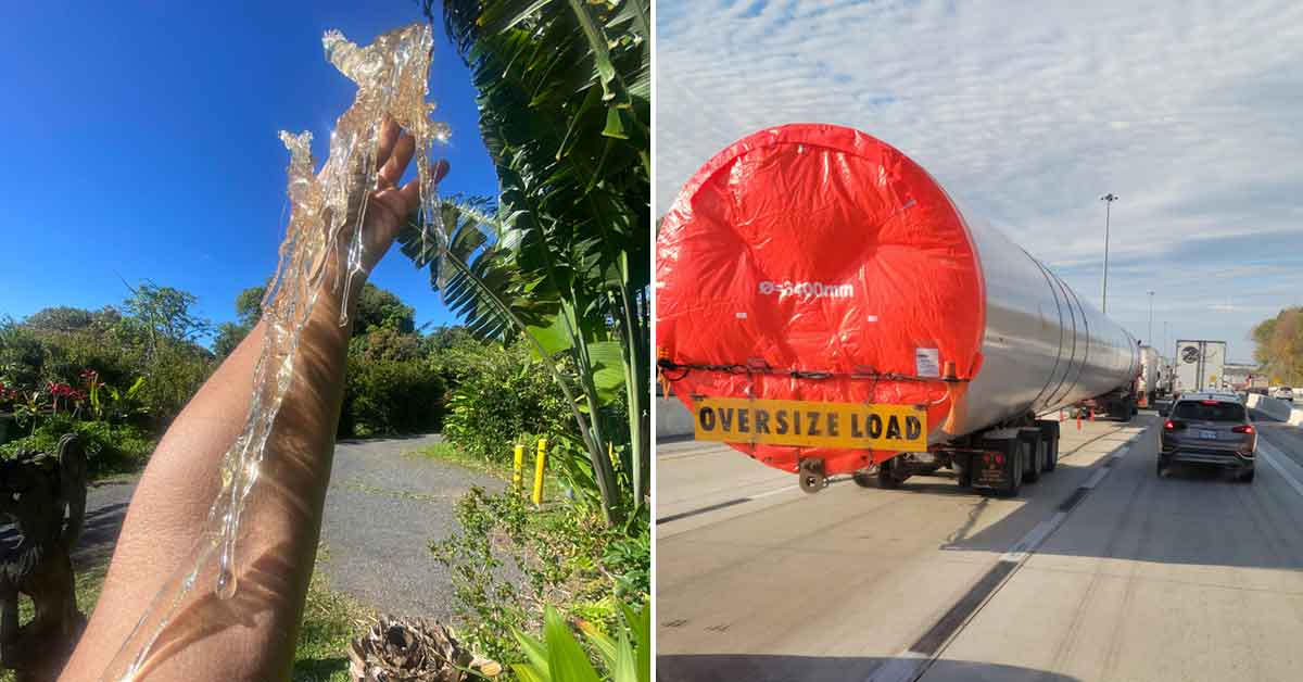 Curious Discoveries People Made in the Wild