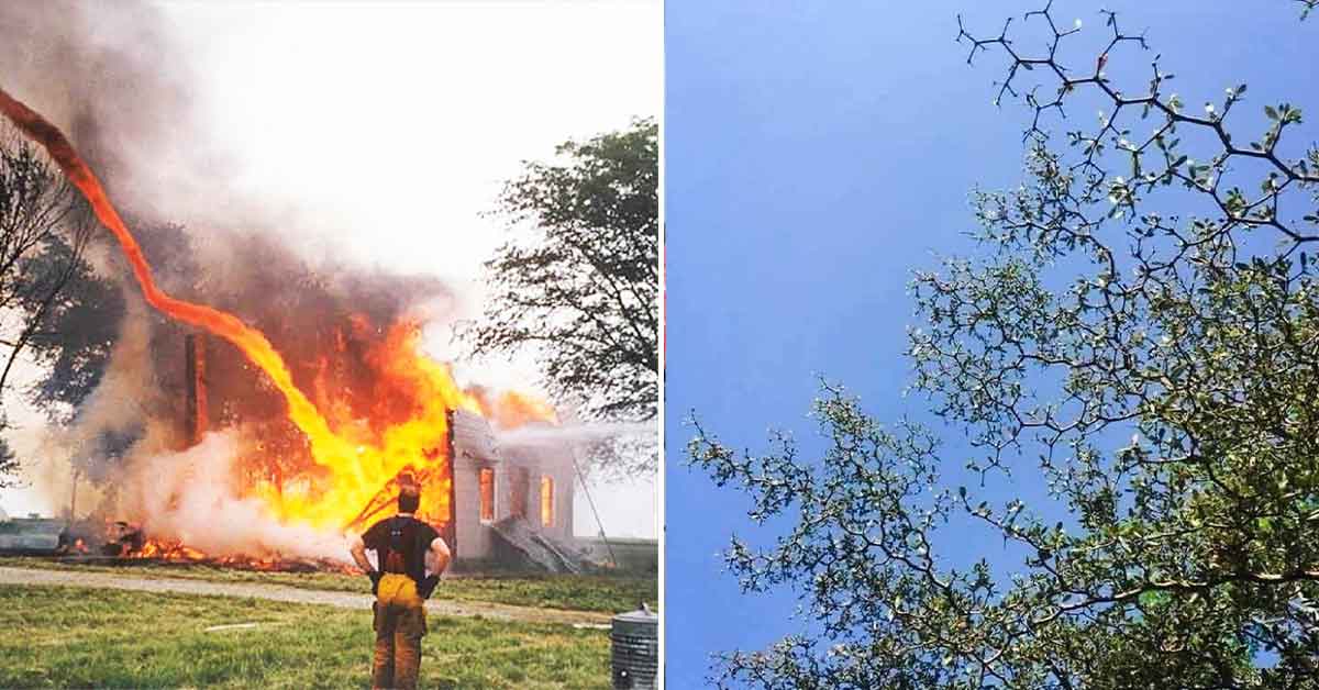 Fascinating Photos Worth Taking In