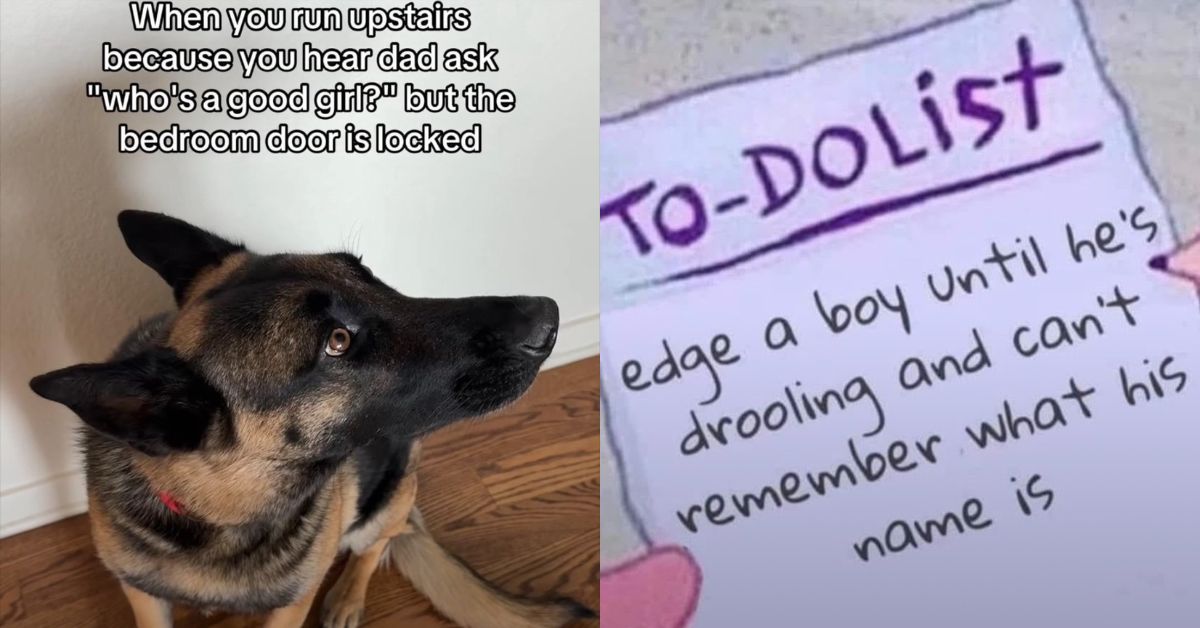 20 Kinky Memes That Will Make You Question Everything You Thought Was Normal