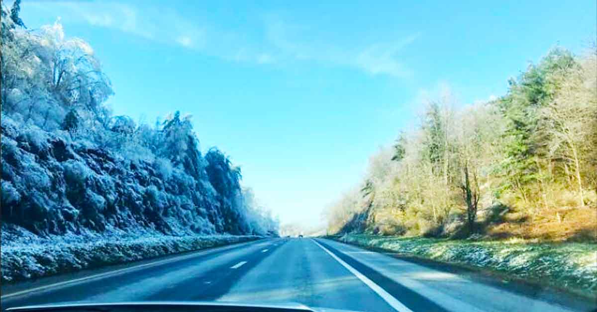 Distinct Photos Showcasing Our World's Diversity