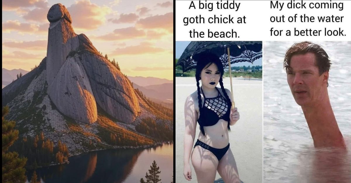 20 NSFW Dick Memes That Have No Sense of Decency