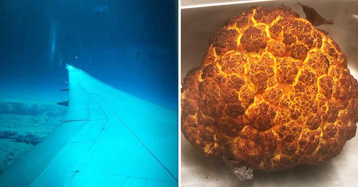 Intriguing Images That Look Like Something They're Not