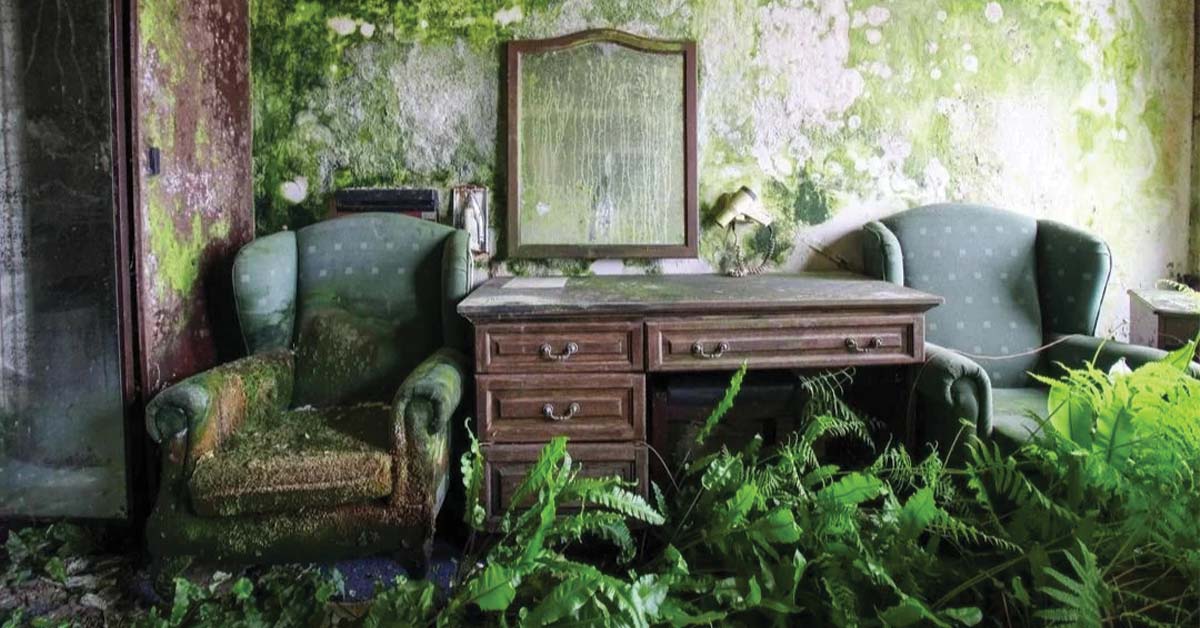 20 Photos Of Nature Reclaiming The World