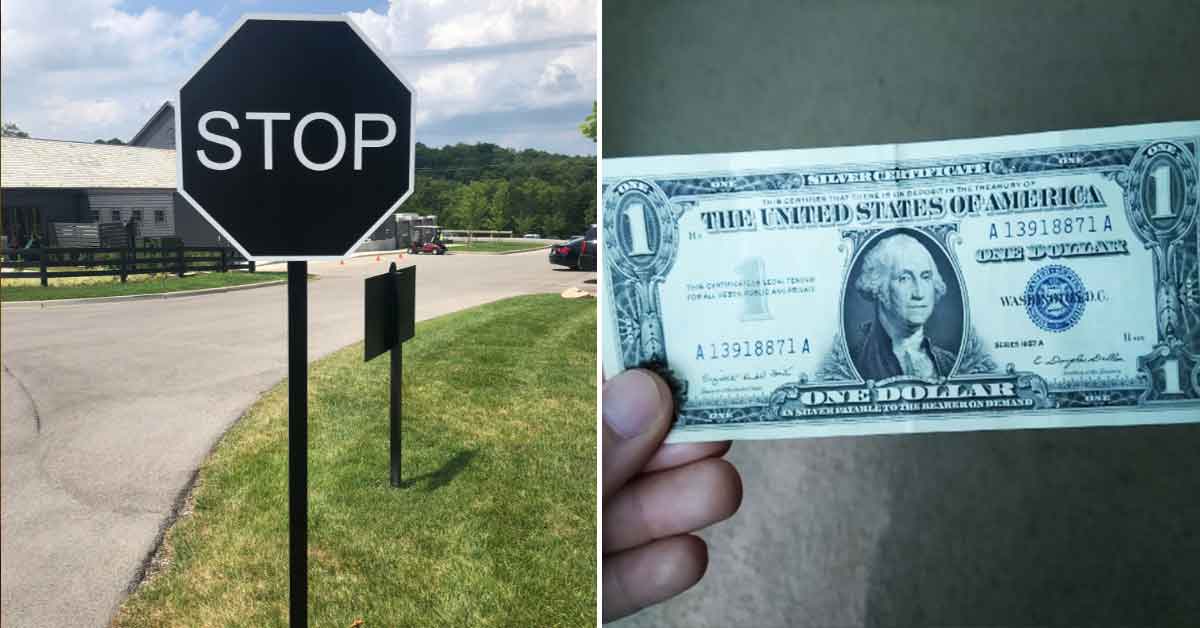 Interesting Things You Just Don't See Every Day