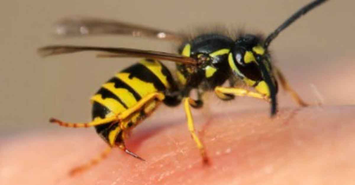 Strange Addictions Real People Actually Suffer From