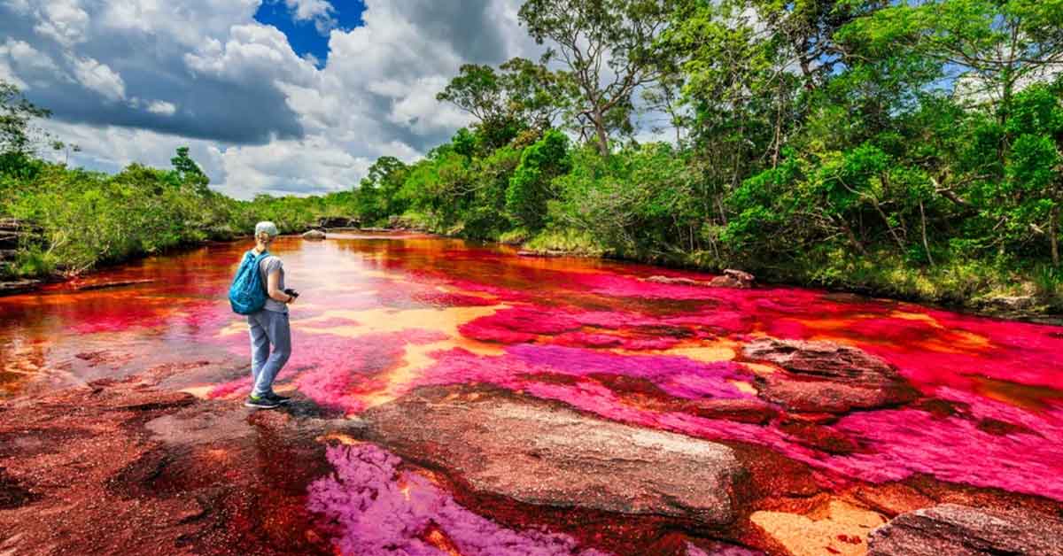 Visually Fascinating Photos of Any and Everything