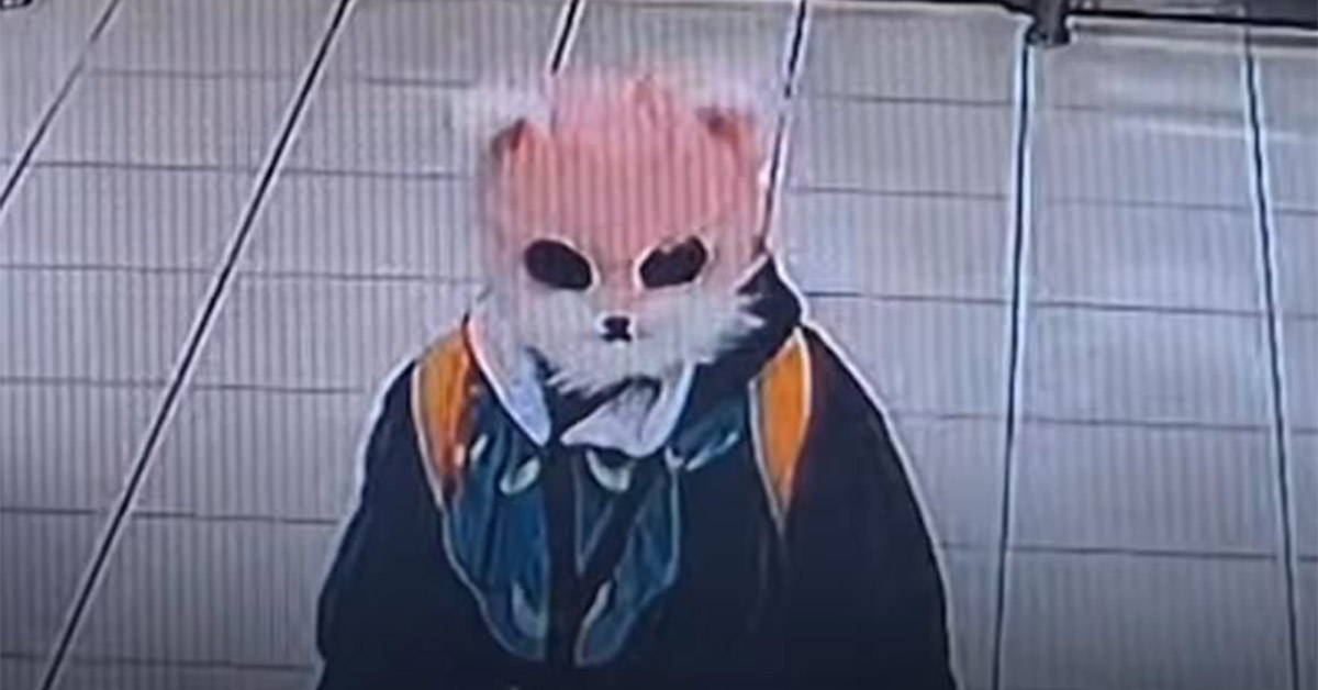Woman In Cat Mask Terrorizes Korean Grocery Store, Meows at Police