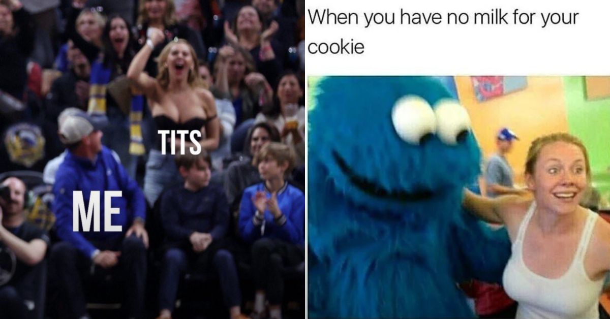 20 Boob Memes That Have Absolutely No Business Being This Chaotic