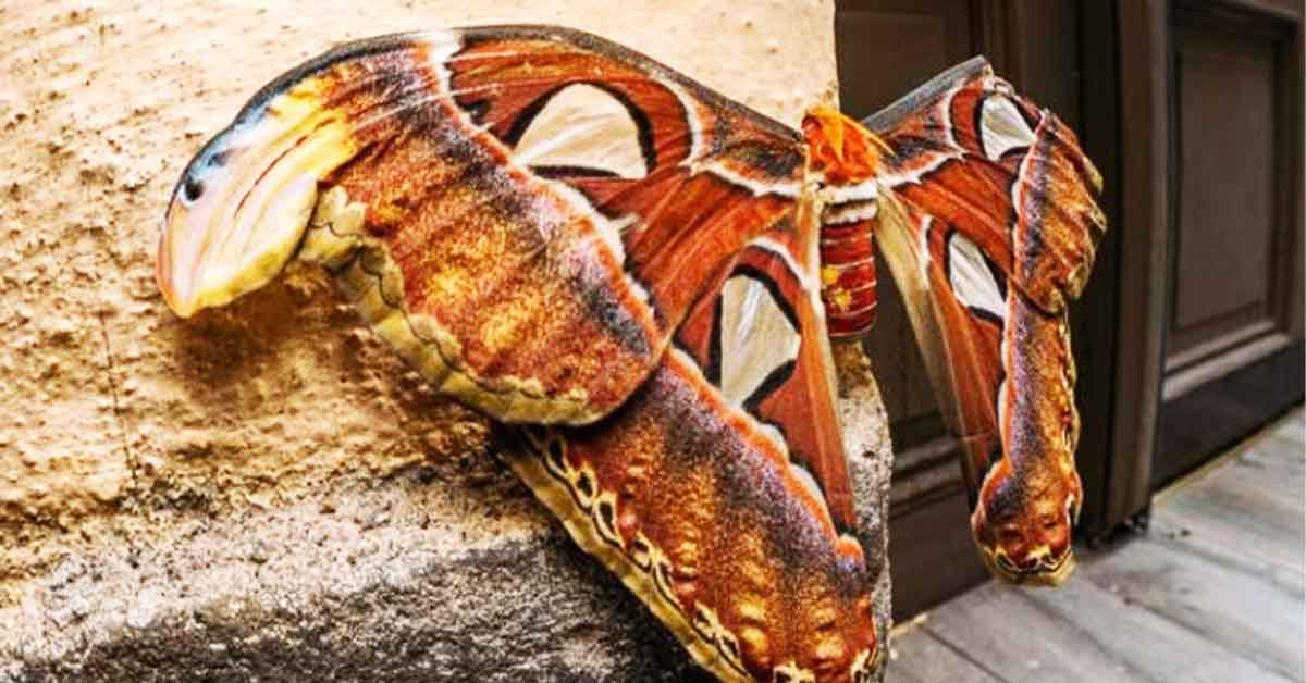 Discoveries People Made on Their Own and Shared