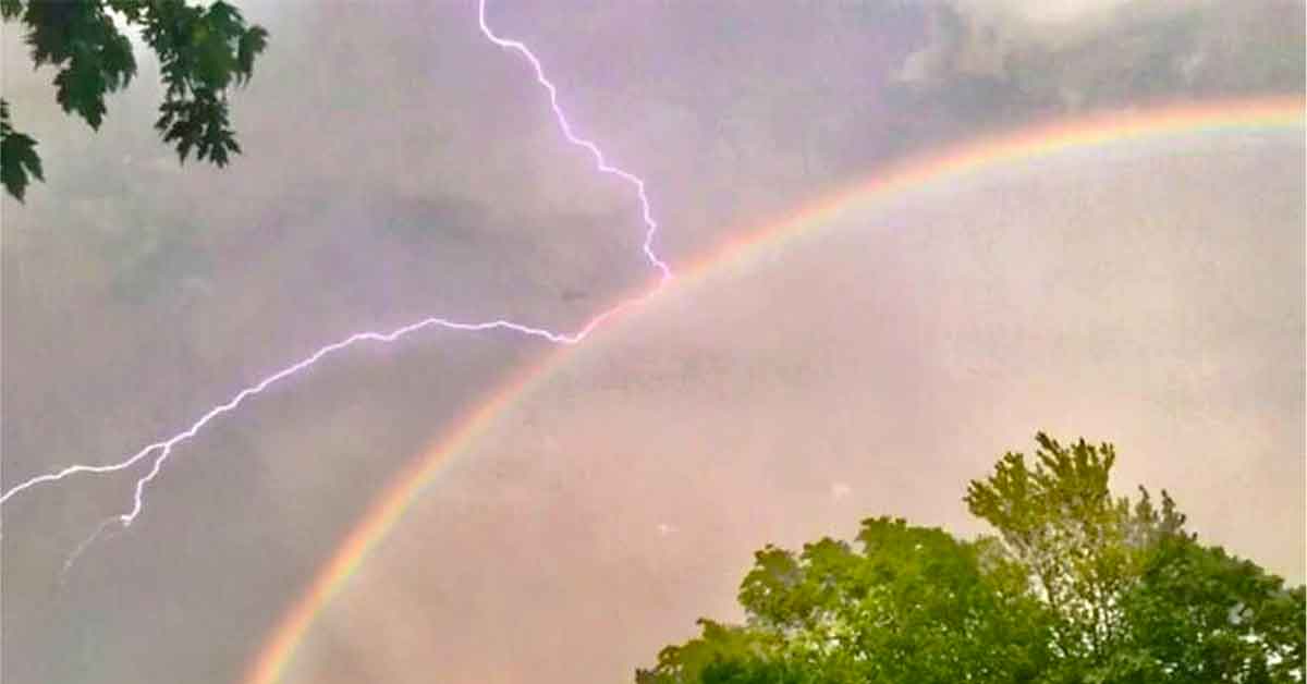 Photos Capturing Cool Coincidences and Magical Moments