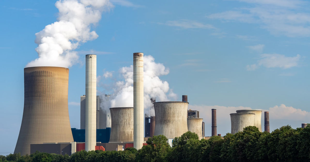Jellyfish Keep Breaking France’s Power Plants