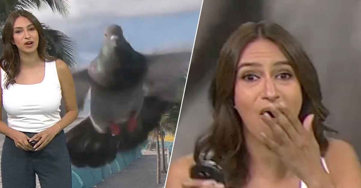 Live TV Bloopers and Fails That Went Down in History