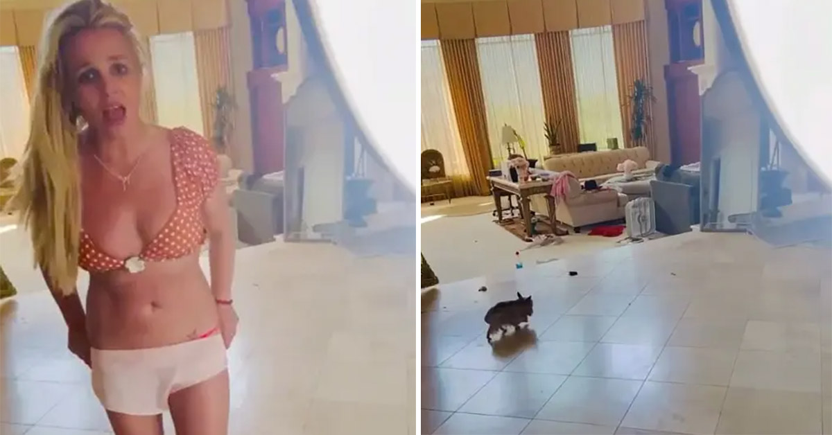 Britney Spears’ Mansion Is Covered in Dog Poop