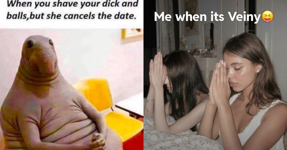 20 Dick Memes So Unhinged You'll Need a Cold Shower After