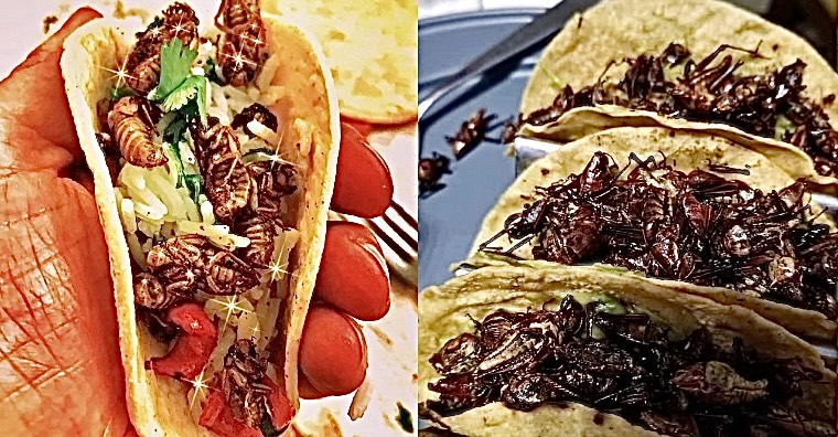 The Weirdest Tacos In The World