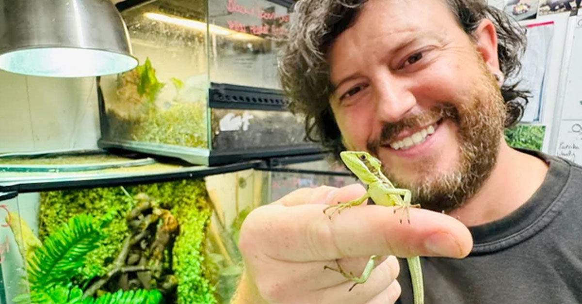 A Real Jesus Lizard: An Iguana in the U.K. Had a Virgin Birth
