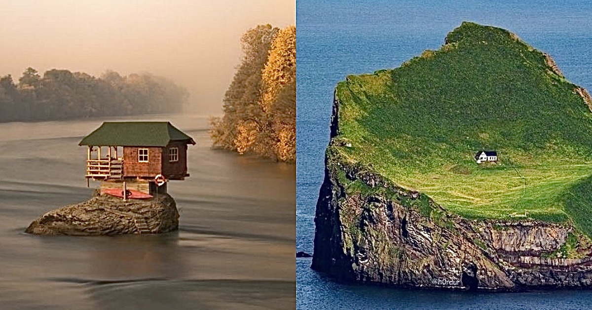 Wild Houses At The End Of Time