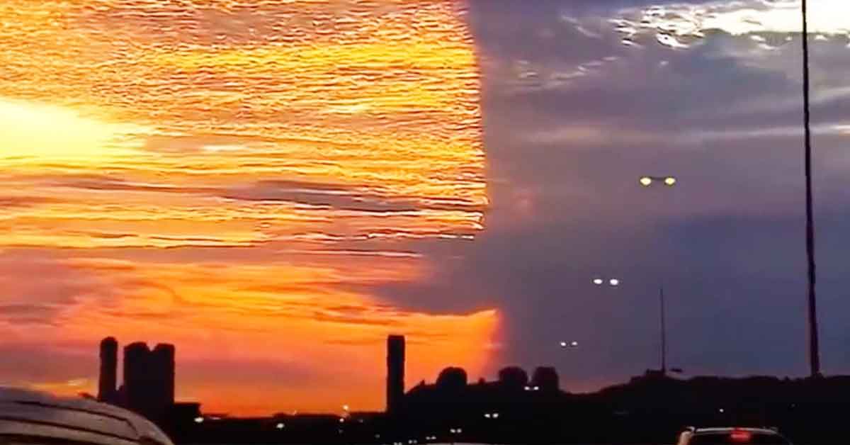 People Who Saw the World Not Quite Acting as it Should