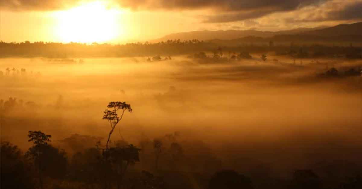 Intriguing Photos and the Backstories Behind Them