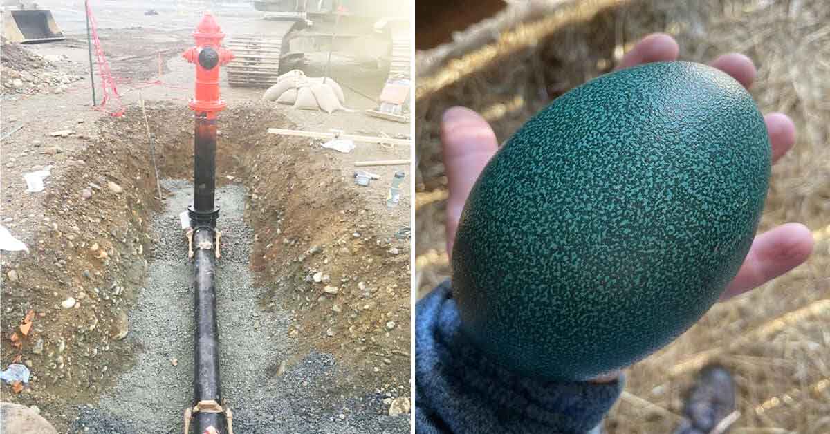 Informative Images Around the World and Across Time