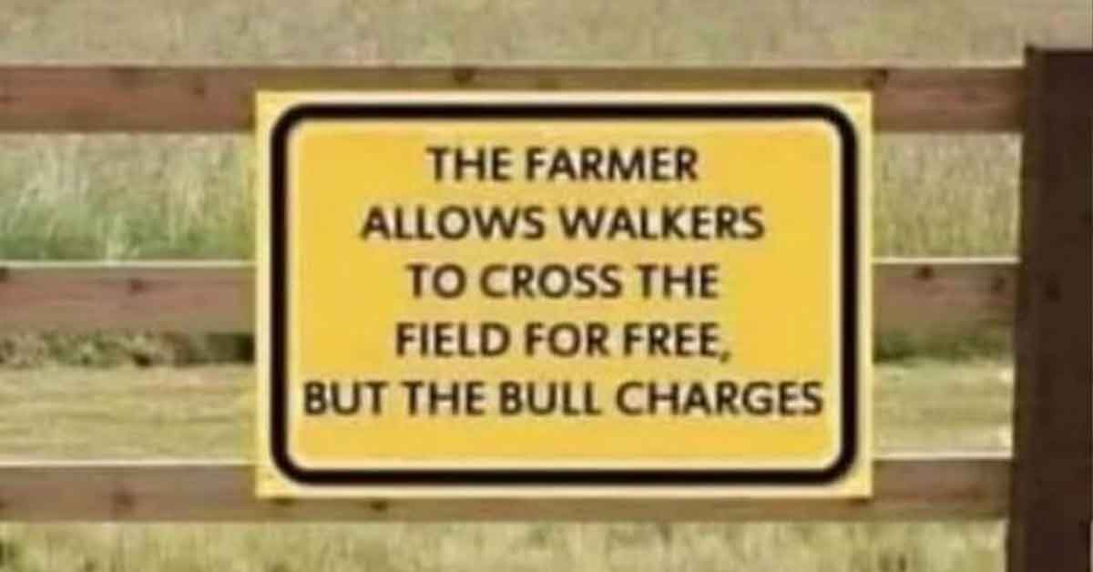 Unhinged and Hilarious Signs Spotted Around the World