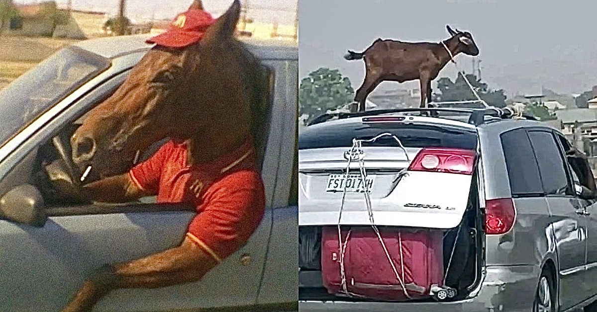 Double-Take Unusual Photos